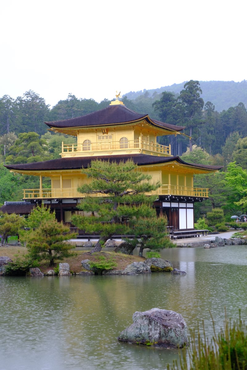 雨中的京都金阁寺与池塘庭院景观